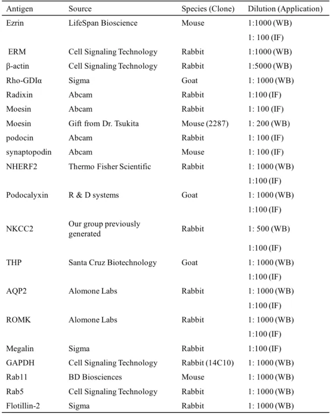 Table 2      Antibodies Used in This Study. 