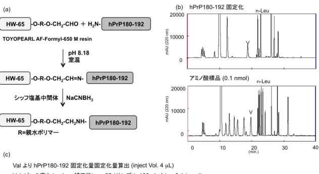 Fig. 4  Preparation of hPrP180-192 immobilized resin. 