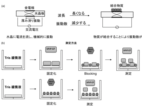 Fig. 7  Principle and measurement methods of AFFINIX QNµ.  