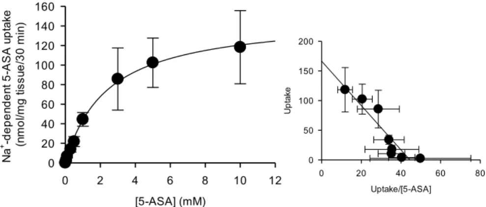 Figure 7. Concentration dependence of 5-ASA uptake by mouse colon tissues. Nonspecific 5-ASA uptake  was  evaluated  by  measuring  in  the  absence  of  Na + 