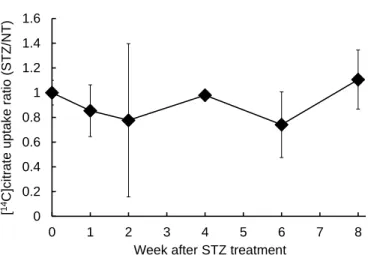 Figure  4  Na + -dependent  uptake  of  citrate  in  hepatocytes  of  type  1  diabetic  model  mice
