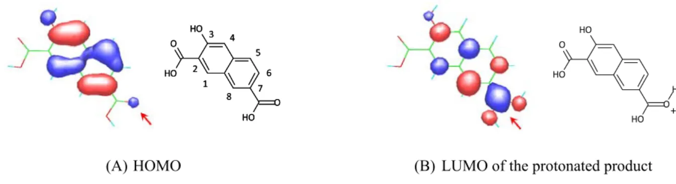 Figure 2 MOs to demonstrate selective esterification at 7-carboxylic acid of 4. The corresponding chemical  structures are shown on the right side of each MO