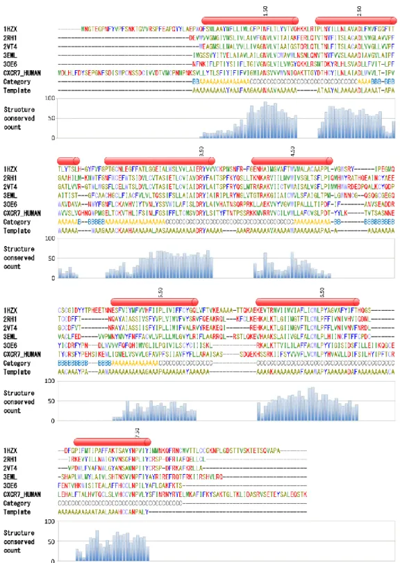 図 3. CXCR7 と構造既知 GPCR の配列アラインメント。ウシロドプシン（PDB: 1HZX）、ヒト2 アドレナリン受 容体、トリ1 アドレナリン受容体、ヒトアデノシン A2a 受容体（3EML）、ヒト CXCR4（3OE6）、及び CXCR7