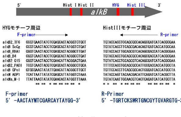 Figure 1-4    alkB  遺伝子検出のためのプライマー配列 