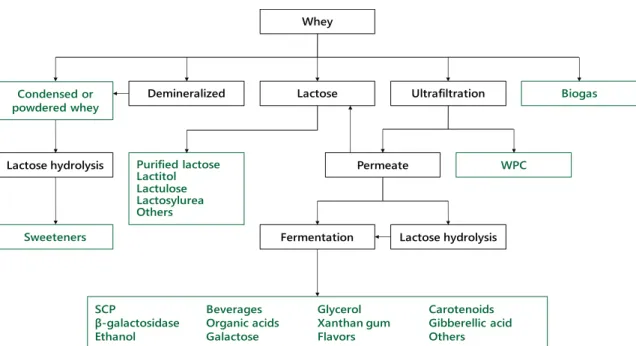 Figure 1-2. Scheme for the commercial utilizations of whey (Siso, 1996). WPC stands for whey  protein concentrate; SCP stands for single cell protein