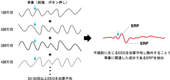 Figure 2. ERP の抽出手順