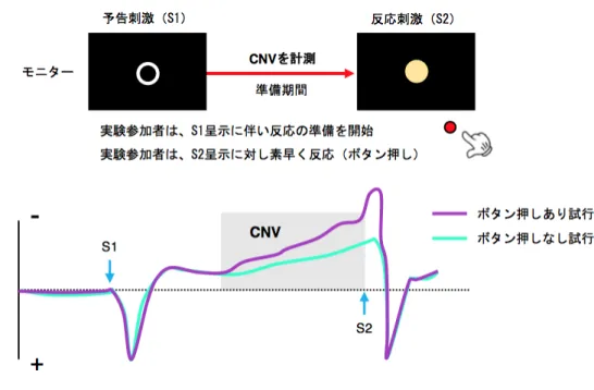 Figure 3. CNV の模式的波形および測定パラダイム