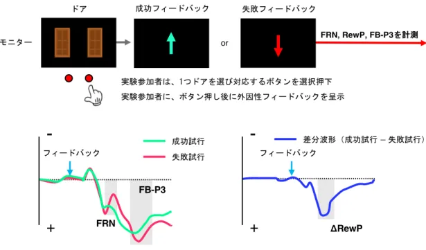 Figure 6. FRN ・ RewP と FB-P3 の模式的波形および測定パラダイム