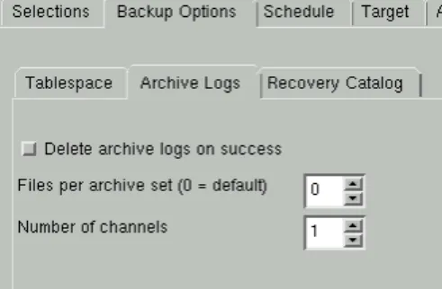 図 7-5 Oracle RMAN backup Options [Archive Logs] 