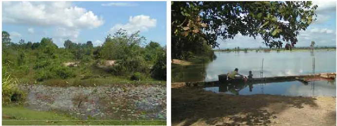 Figure 5: Local natural landscape 