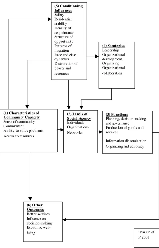 Figure 2 - The Chaskin Framework 
