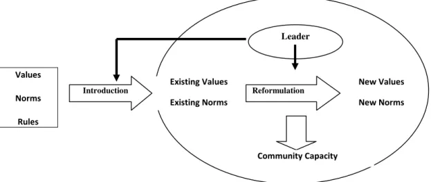 Figure 4- Social norm development in institutions 