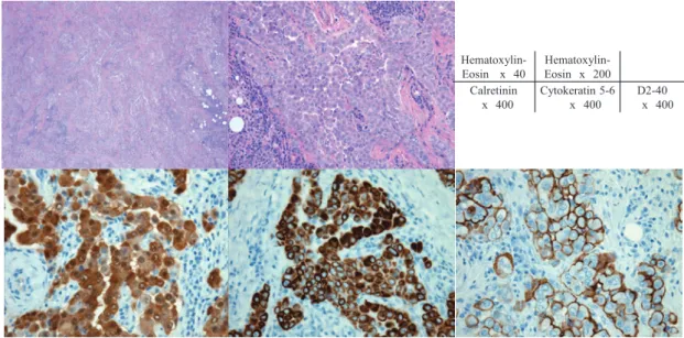 Fig. 1　Pathology views