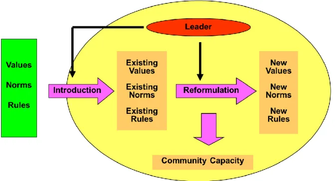 Figure 2.3 Role of Leader in Community Change 