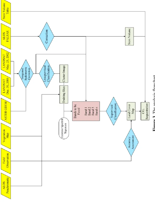 Figure 3. The analysis flowchart