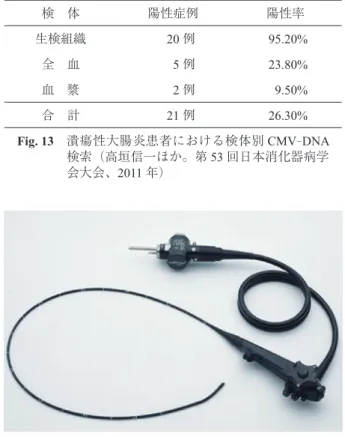 Fig. 14 Olympus 社製 GIF - N260（2005 年）