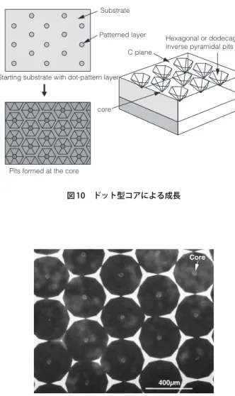 図 10　ドット型コアによる成長 