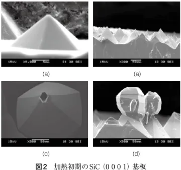 Fig. 2. SEM images of pyramids formed on SiC （0 0 0 1）  substrates at initial growth.