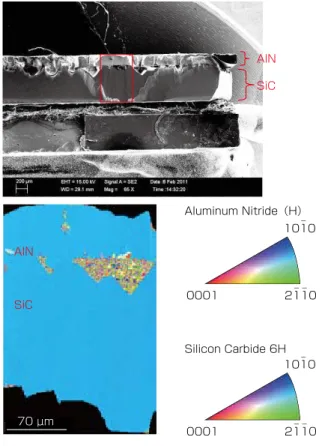 Fig. 13. FE-SEM images of a pyramid of SiC. The minute  protrusions with the angle of 120 degrees can be 