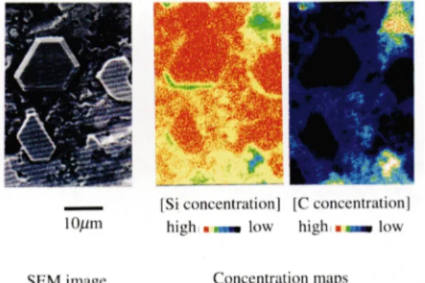 Fig. 2 Morphological and elemental analyses for an initial-stage (A in Fig. 1) growth surface of SiC single crystal.