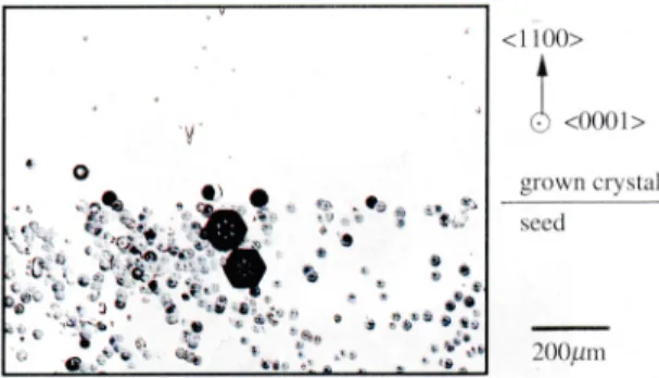 Fig. 4B Alkaline-etched cross section of SiC crystal grown in the <11− 00> direction.
