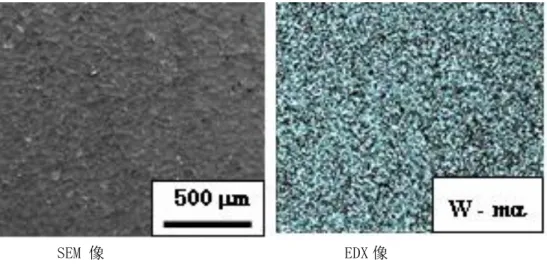 図 3-4   混合粒子投射面の SEM 像および EDX-W-Mα）像 