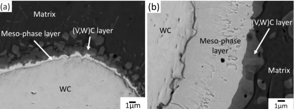 Fig. 8　TEM BF images and corresponding SADPs of the matrix microstructures of the as︲clad （a, b） VC, （c, d） NbC and （e） WC  composite layers