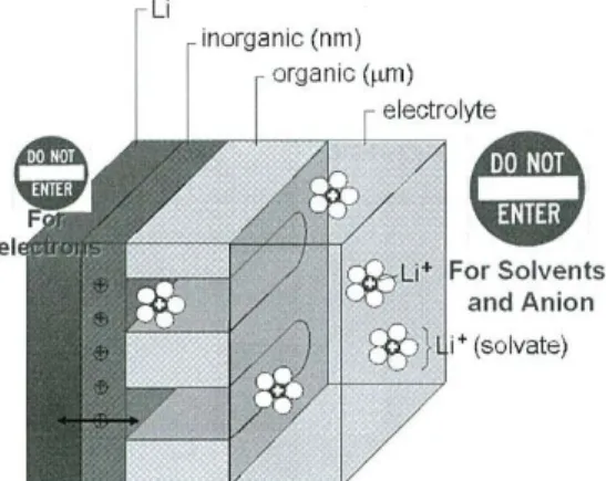 図 2-7  リチウム電極周りの電解質膜の相関図 