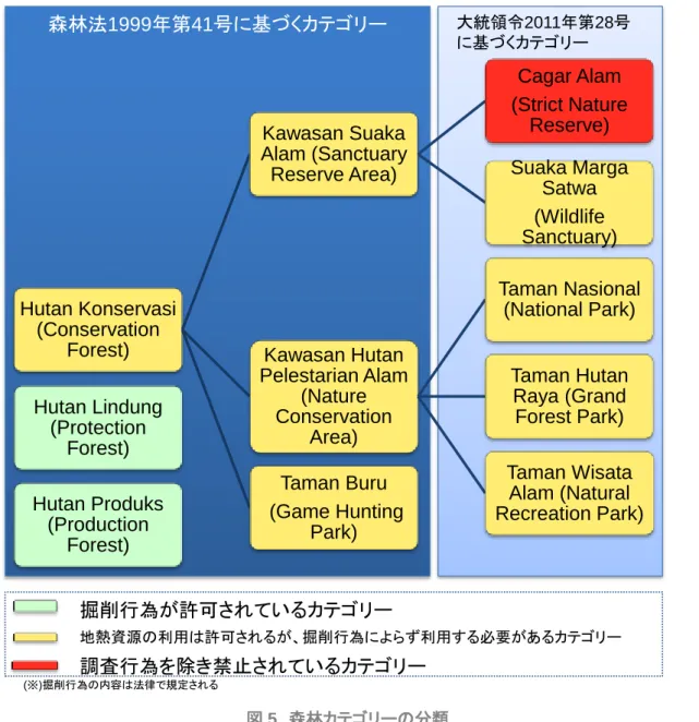 図 5  森林カテゴリーの分類 