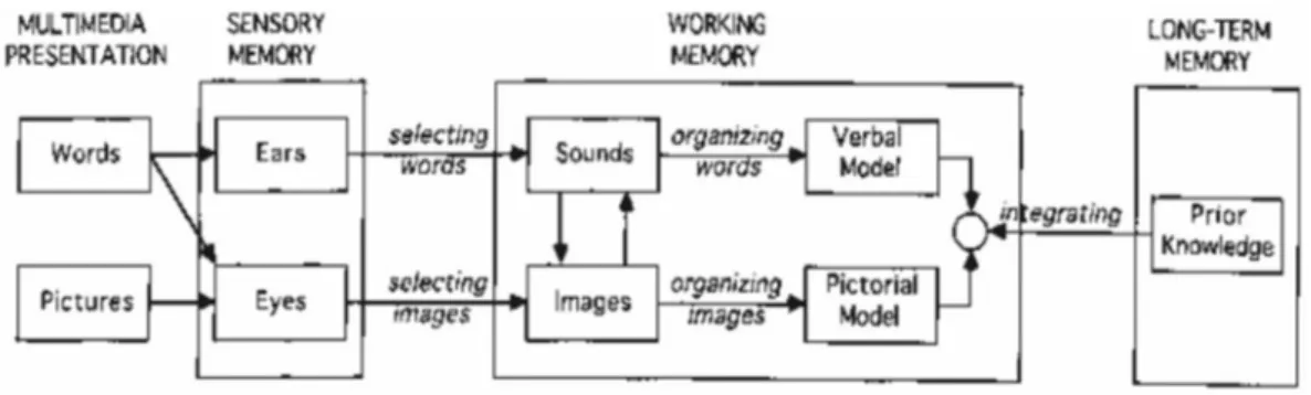 Figure 1. Cognitive Theory of Multimedia Learning 