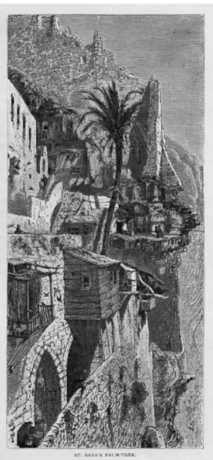 Figure 4.　St. Saba’s palm tree at Mar Saba Monastery
