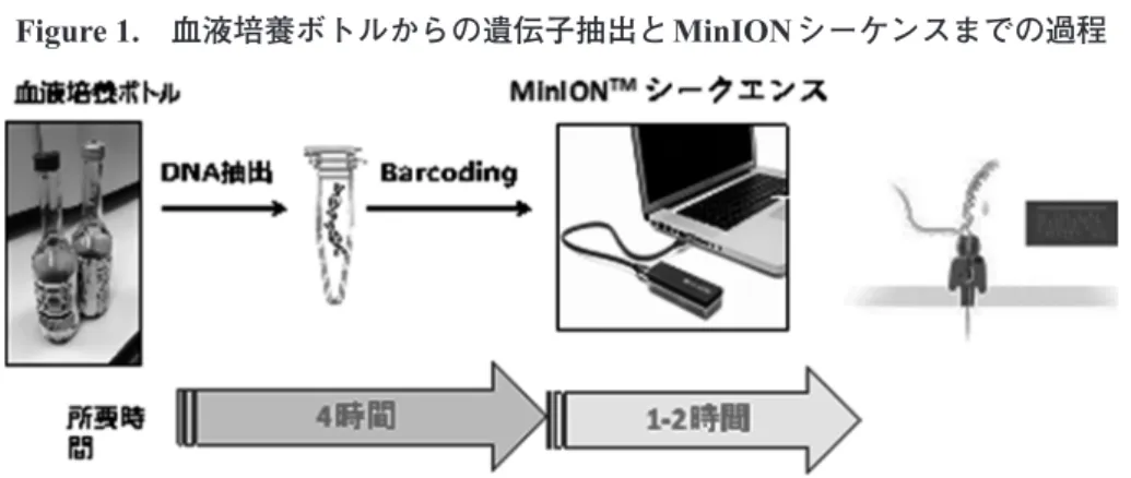 Figure 1. 血液培養ボトルからの遺伝子抽出と MinION シーケンスまでの過程