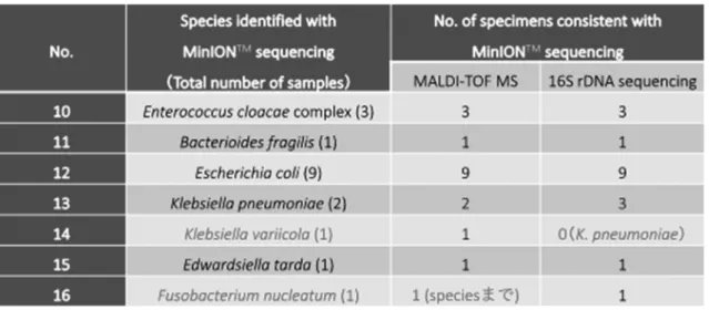 Table 2.  グラム陰性菌における MALDI-TOF MS, 16S rRNA シーケンス，MinIONシーケンス の菌種同定