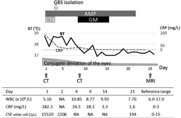 Figure 1.  Clinical course of the patient, whose temperature normalized soon after administration of  gentamicin