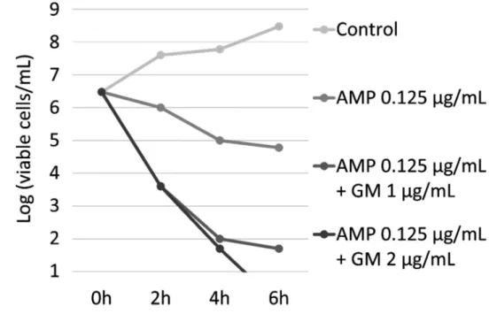 Figure 2. Time-kill curves of the isolated GBS strain were measured in vitro for ampicillin (AMP)  and for the combination of AMP with gentamicin (GM) at 2 concentrations