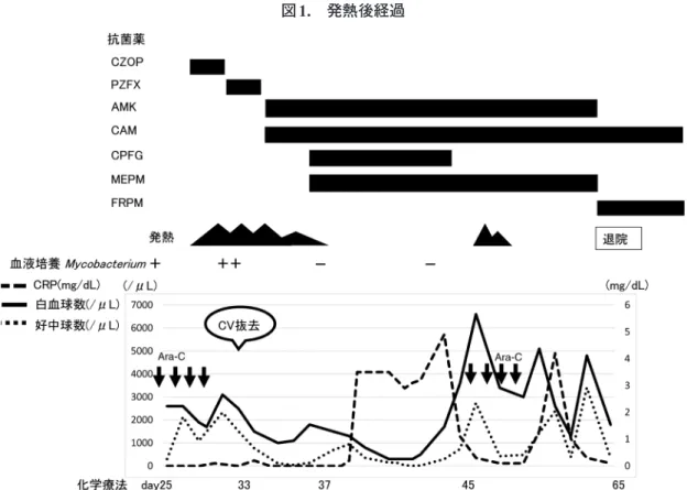 図 2. 血液培養染色結果