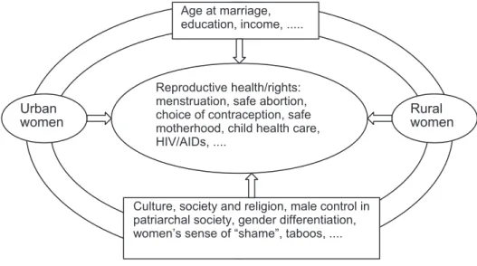 Figure 1 Analytical framework.