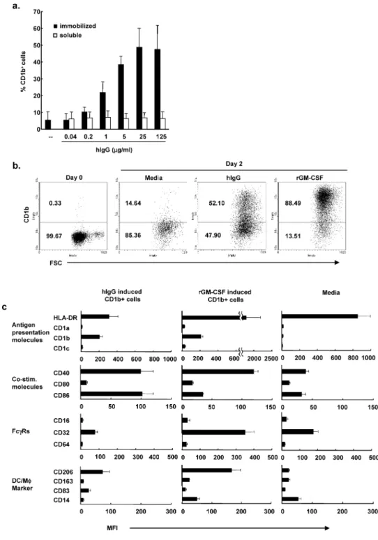 図 1. 固相化したヒト IgG による Fcg R の活性化は CD1b 陽性未熟樹状細胞の分化を誘導する
