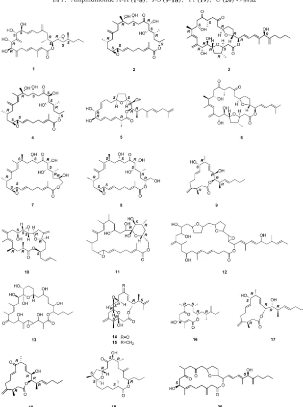 図 1 ． Amphidinolide A-H (1-8) ， J-S (9-18) ， T1 ( 19 ) ， U ( 20 )  の構造