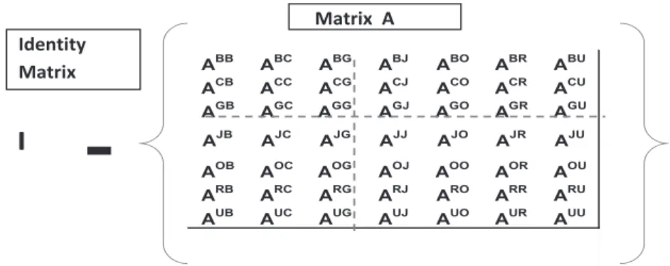Figure 4　Schematic Representation of (I－A) Matrix of 2005 BRICS IO Table