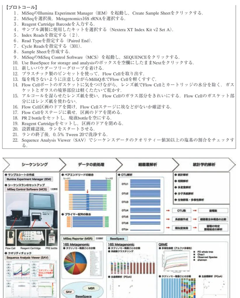 図 S rRNA口腔細菌叢解析のワークフロー（ ）