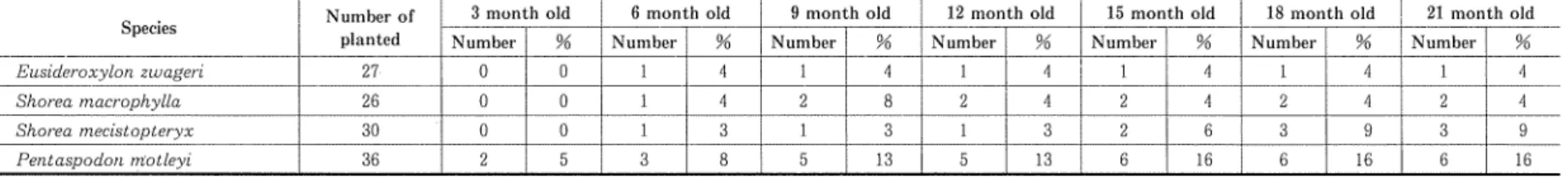 Table 9. ITIeight Increment for Plot on Flat Area in the Secondary Forest in Phase Two.