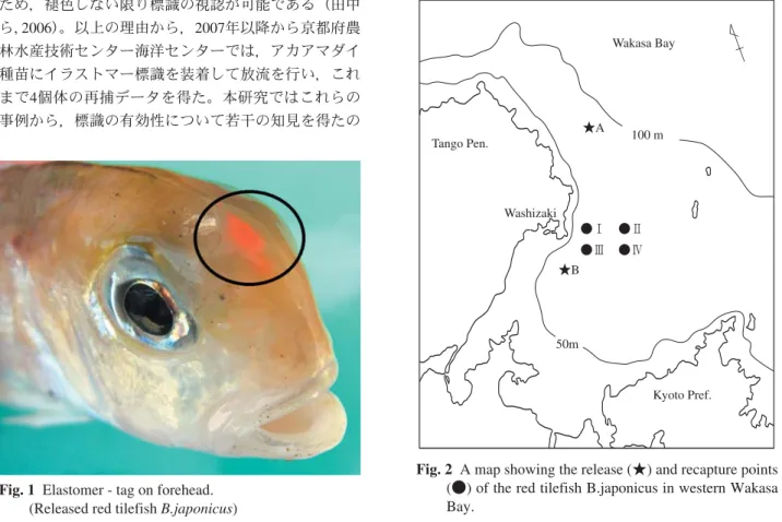 Fig. 2 A map showing the release (★) and recapture points (●) of the red tilefish B.japonicus in western Wakasa Bay