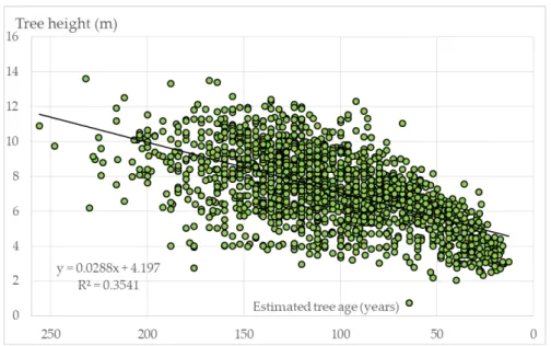 Figure 3. Distribution of age and height of Fukugi trees in Hirae and Maezato. 