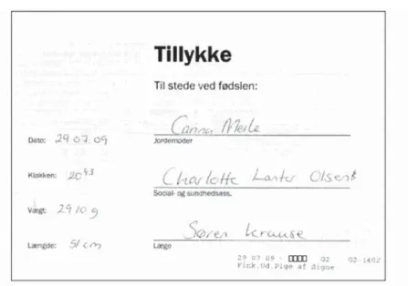 Figure 5: Intial birth document.