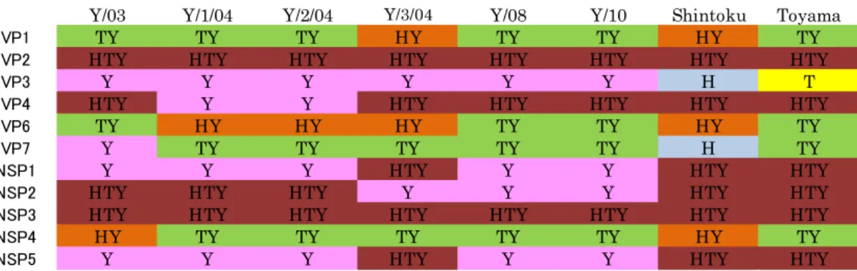 図 3-3 ウシ RVC 株における各文節の遺伝子動態