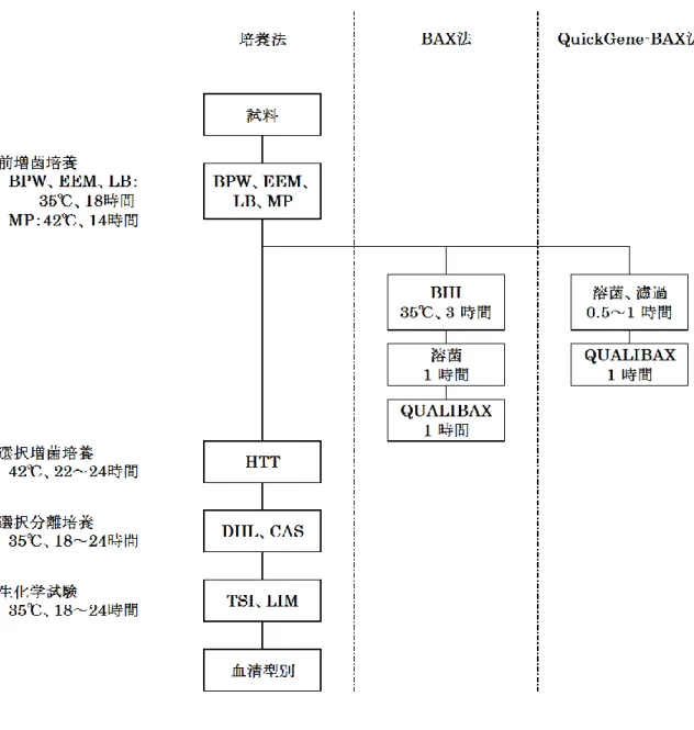 図 5-1  迅速法評価のためのサルモネラ検出法 