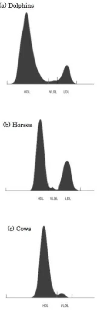 Figure 1-1.  Comparison of cholesterol lipoprotein  patterns between (a) dolphins,  (b)  horses,  and  (c)  cows