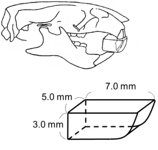 図 1 切歯部咬合挙上装置の模式図