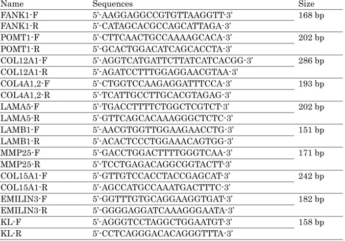表 1  mRNA 発現解析に用いたプライマー配列 